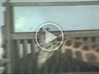 Untitled Clip 01 69